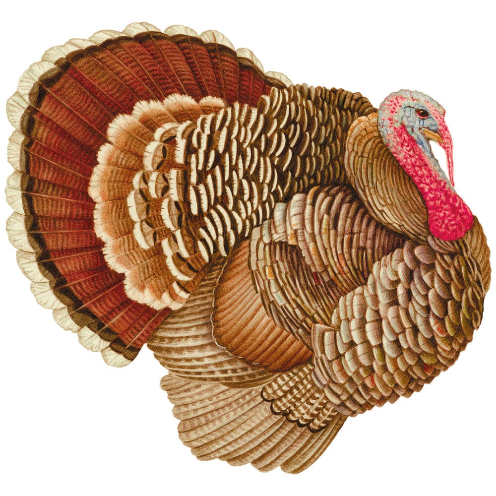 Turkey Paper Placemats Die-Cut 12-In