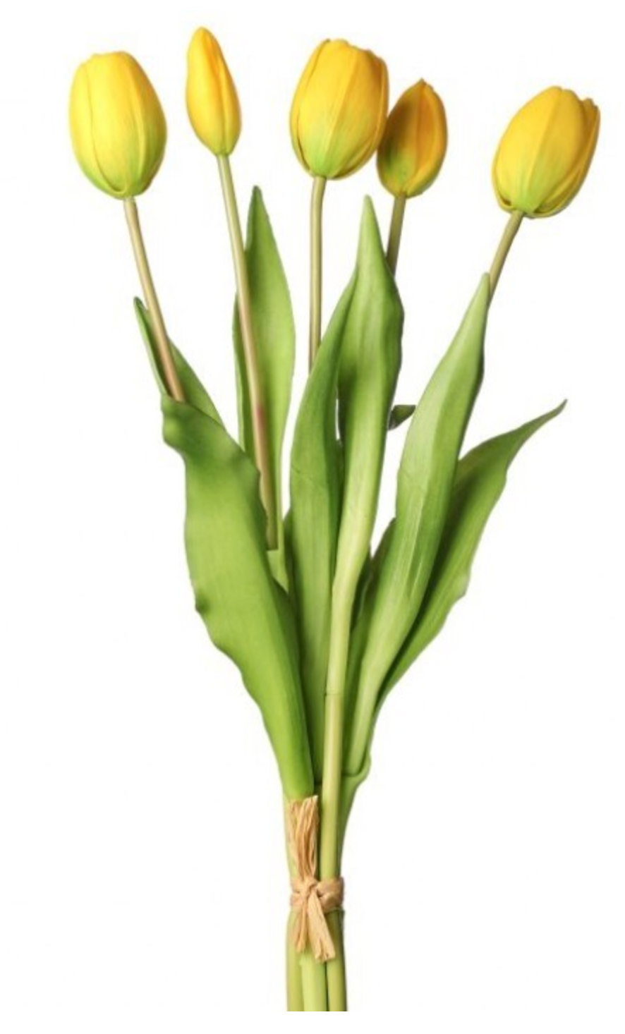 Soft Touch Tulip Bundle