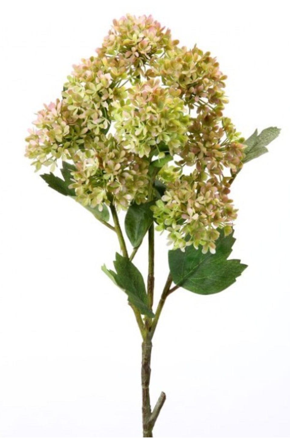 Snowball Hydrangea Plastic Bundle
