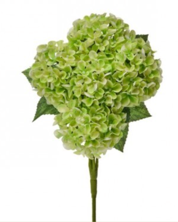 Mini Spring Hydrangea Bundle