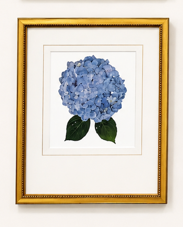 Matted Hydrangea Blooms 14x18