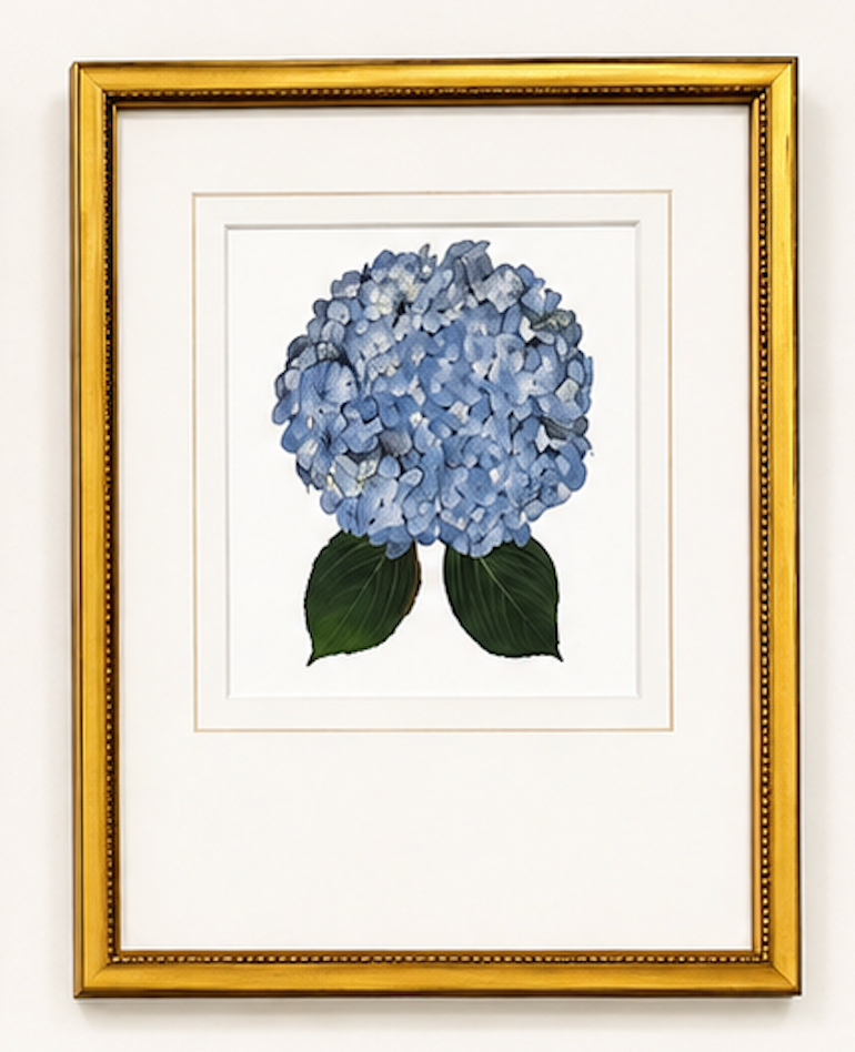 Matted Hydrangea Blooms 14x18