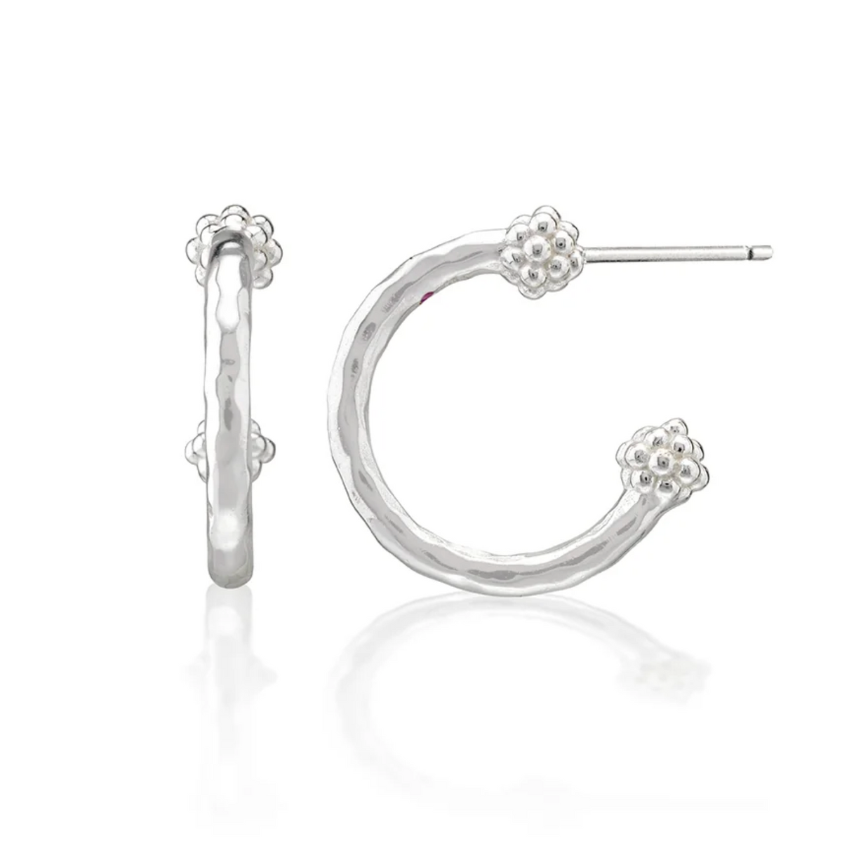 Berry Slice Small Hoop Earrings In Silver