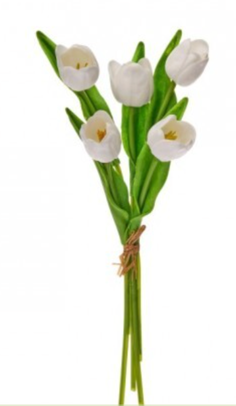 Spring Tulip Bundles