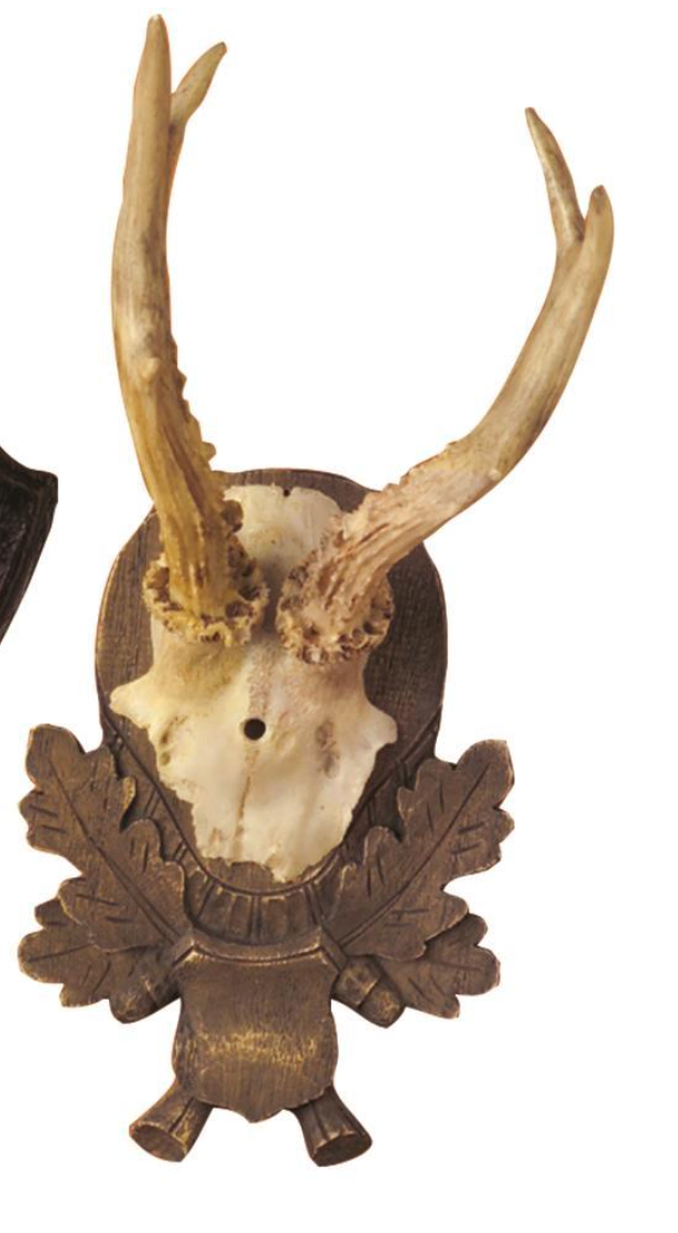The Hunt Club Reproduction Antler Trophy