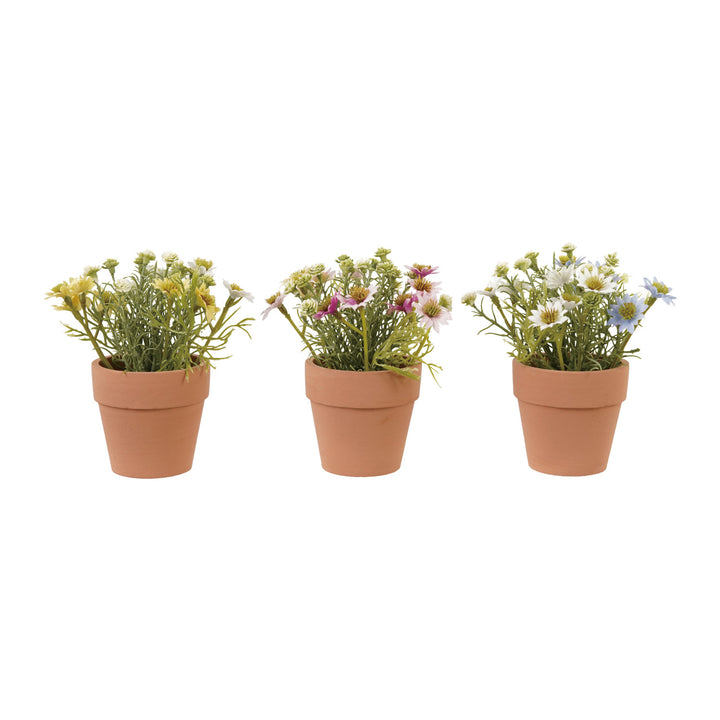 Faux Potted Cosmos