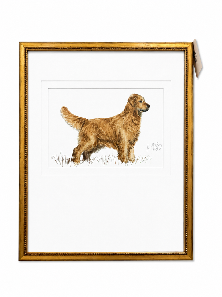 Golden Retriever Framed Art 18x22