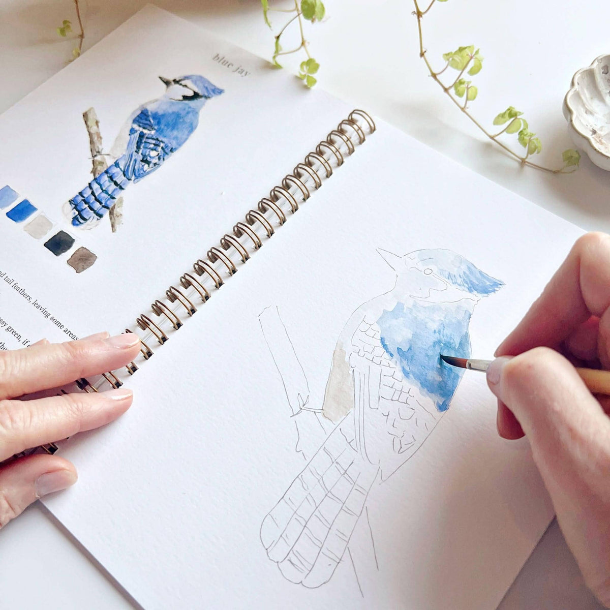 Watercolor Workbooks