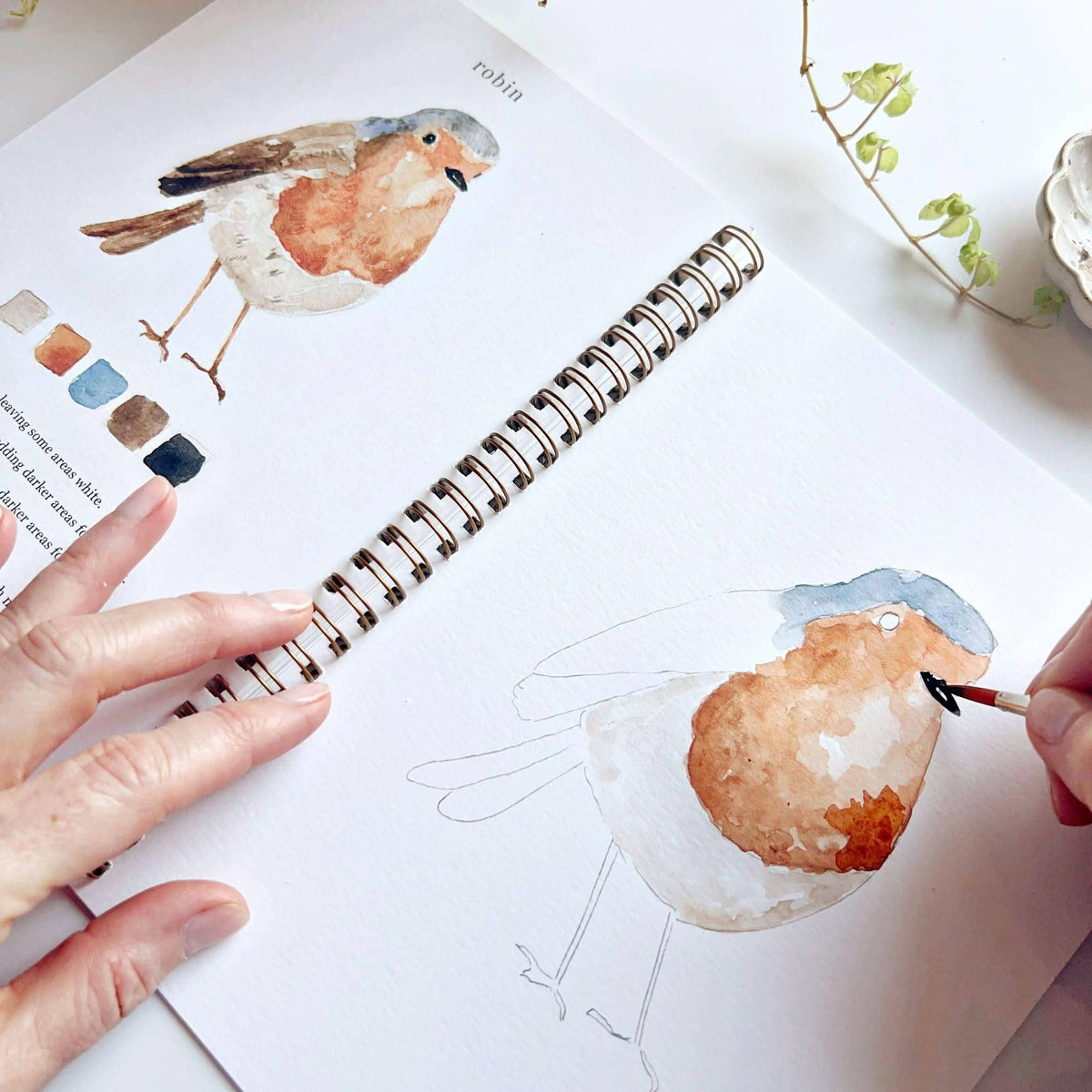 Watercolor Workbooks