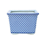 Blue Fish Scale