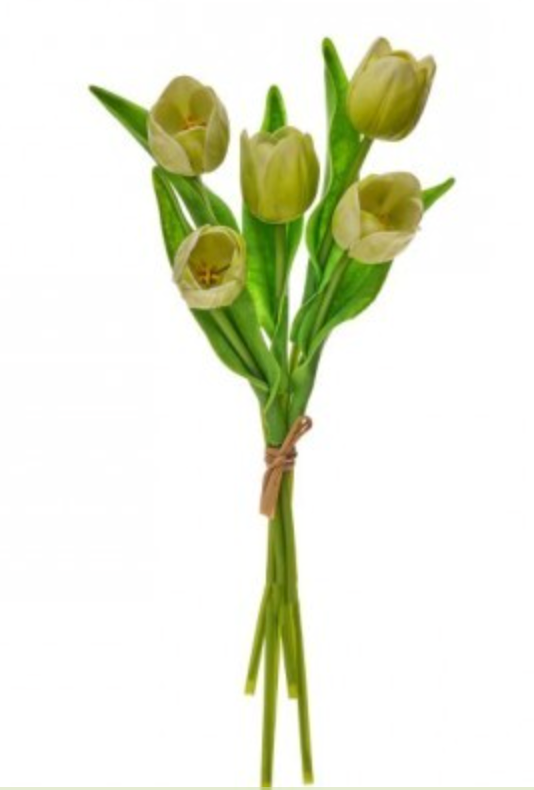 Spring Tulip Bundles
