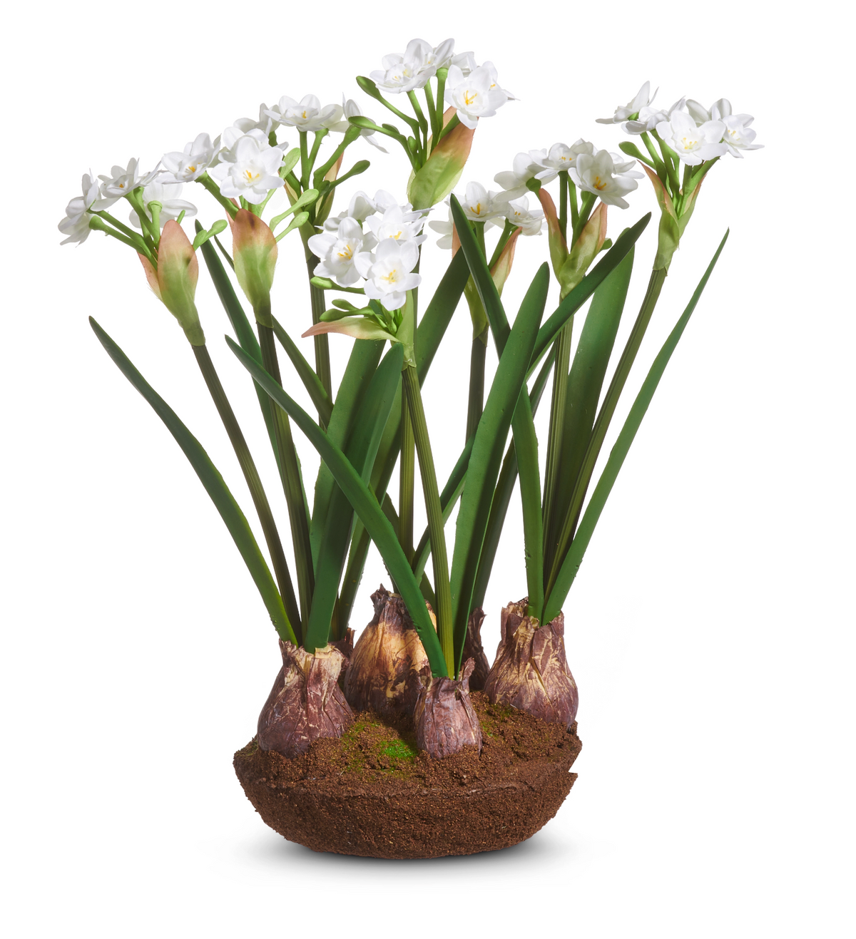 15" Narcissus Drop In