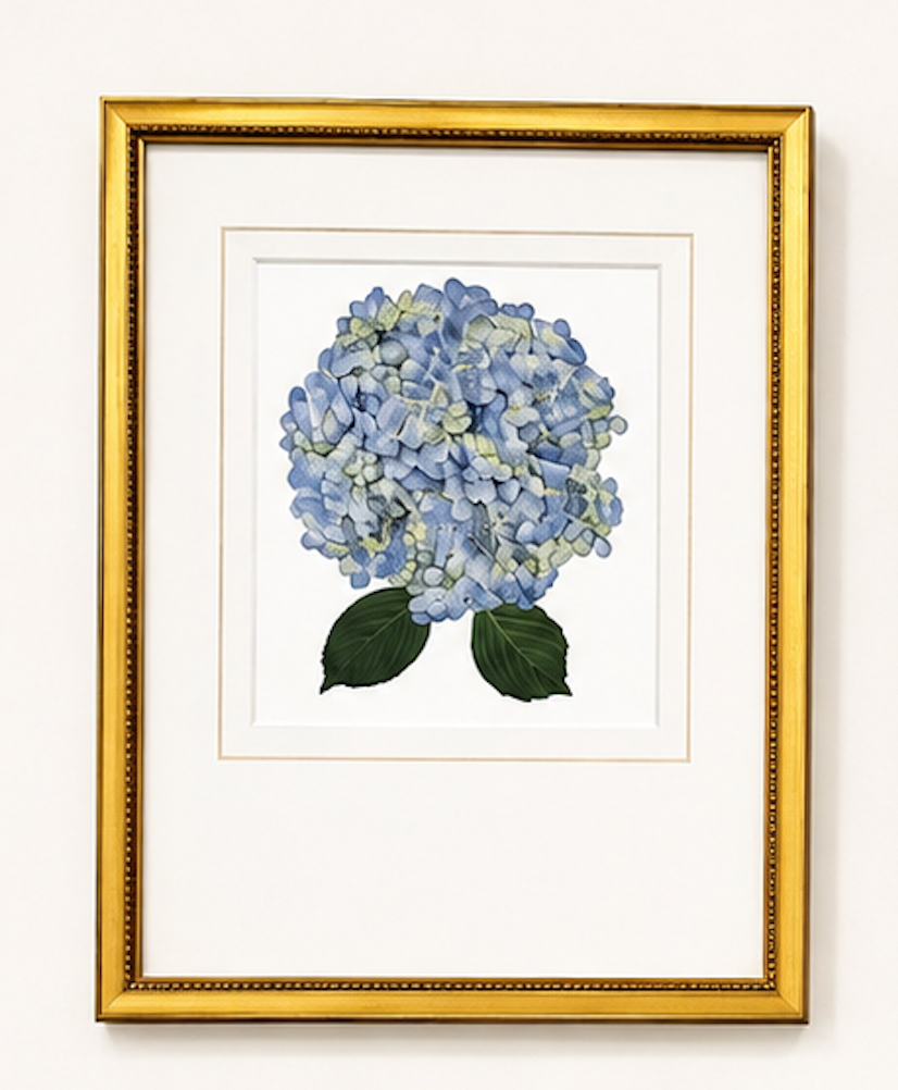 Matted Hydrangea Blooms 14x18