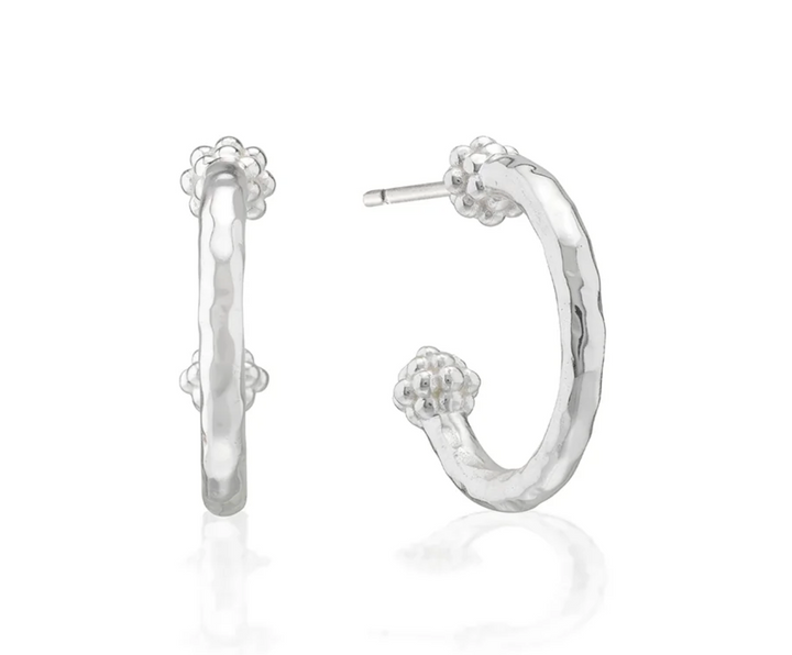 Berry Slice Small Hoop Earrings In Silver