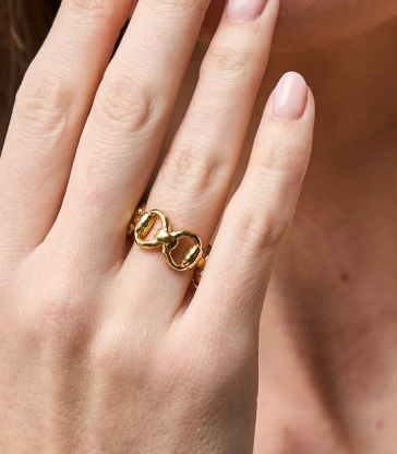 Equestrian Snaffle Bit Ring