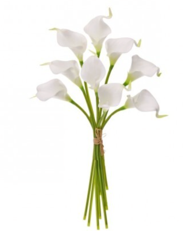 Mini Callas Lily Bundle