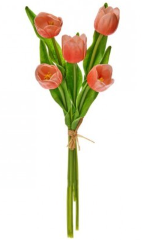 Spring Tulip Bundles