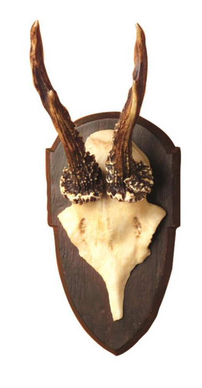 The Hunt Club Reproduction Antler Trophy