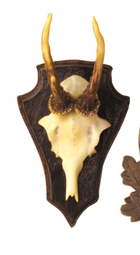 The Hunt Club Reproduction Antler Trophy