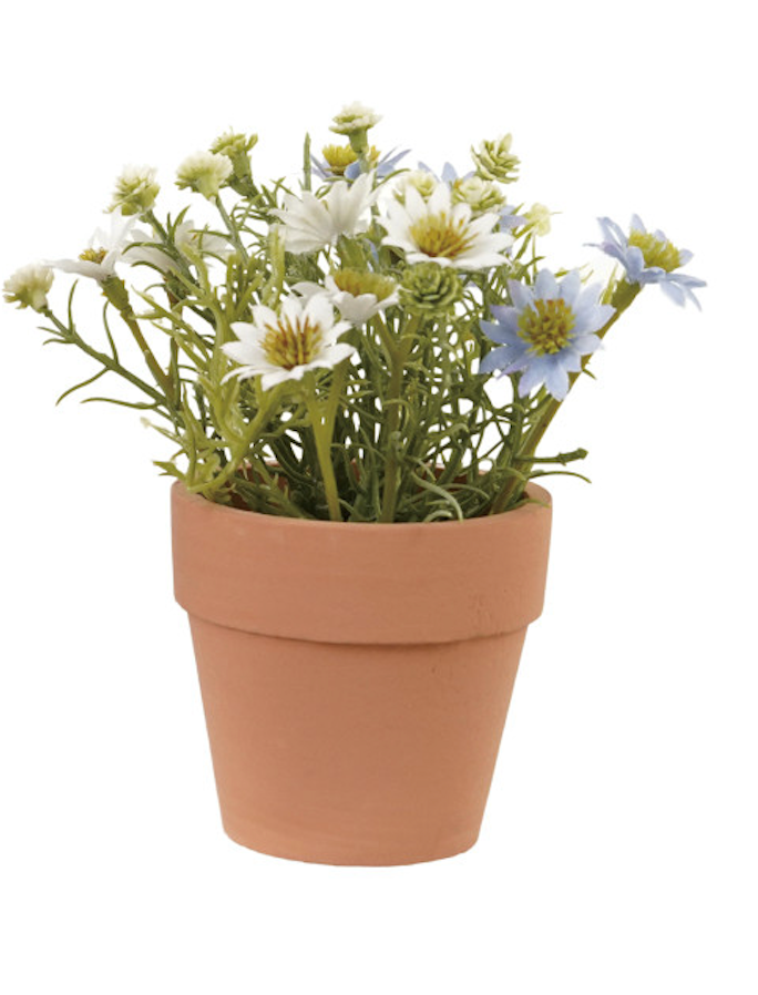 Faux Potted Cosmos