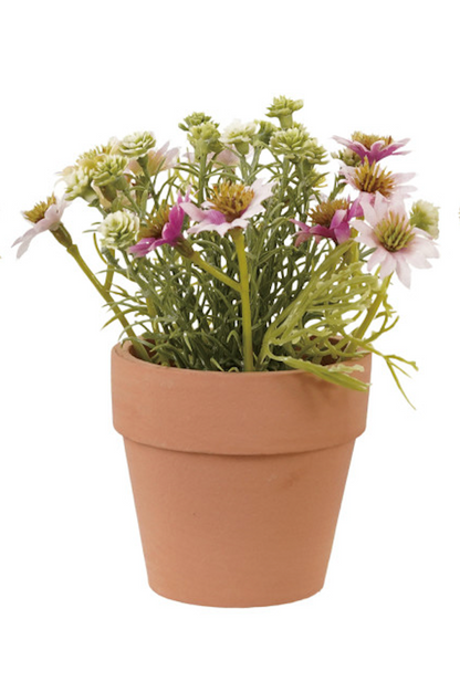 Faux Potted Cosmos