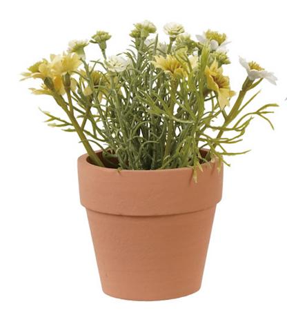 Faux Potted Cosmos