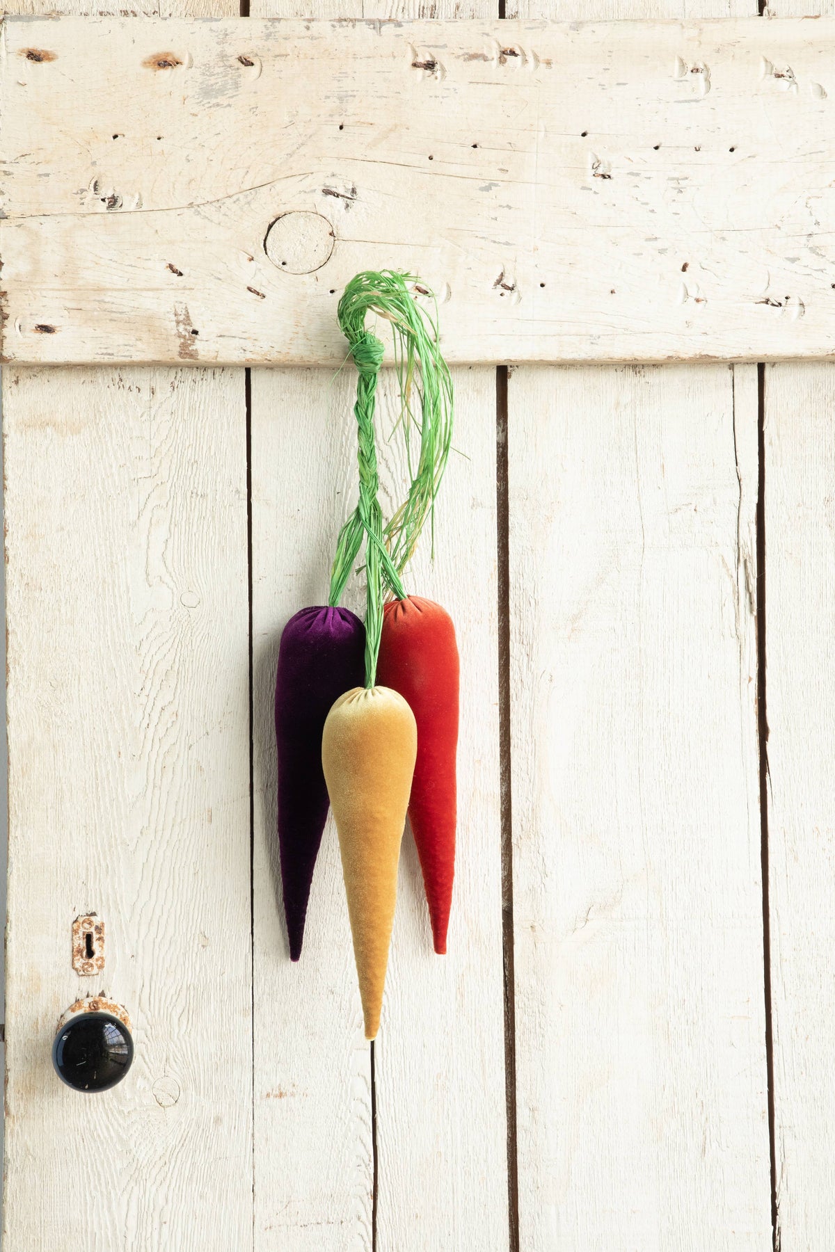 Velvet Carrots