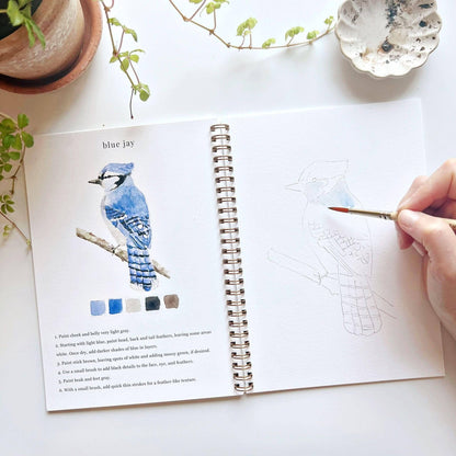 Watercolor Workbooks