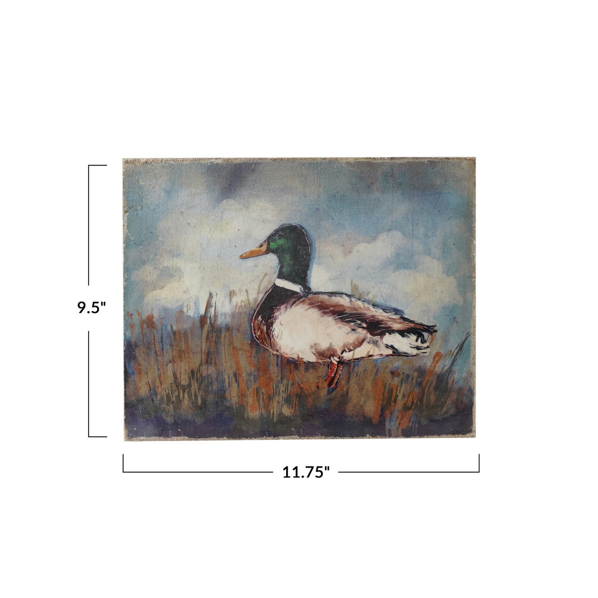 Duck Distressed Wall Canvas