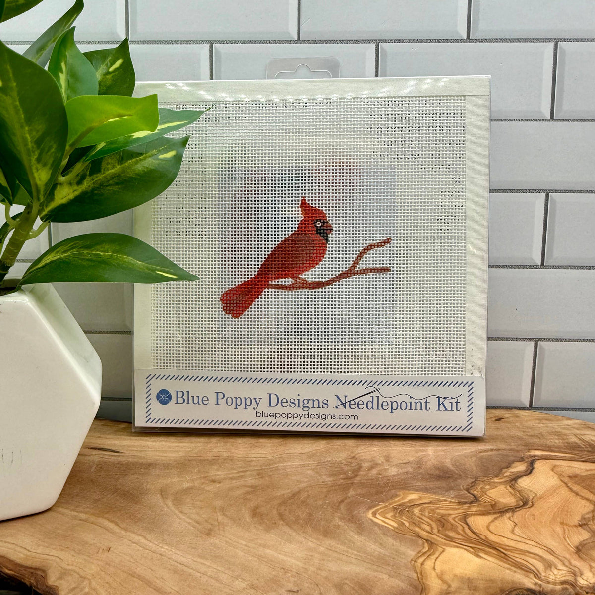 Cardinal Needlepoint Kit (red beak on light blue)
