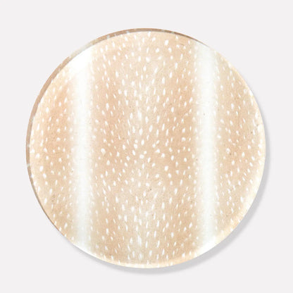 Coasters - Boxed Set of Four